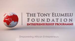 Image result for The Tony Elumelu Foundation (TEF)