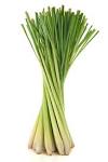 Health Benefits of Lemongrass Essential Oil Organic Facts
