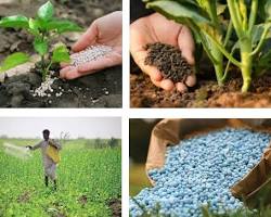 다양한 비료 종류 이미지 (퇴비, 화학비료, 액비 등), 비료의 중요성 강조 이미지