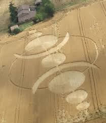 Crop Circle Cesena località Celletta Lizzano