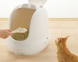 フード付き 猫トイレの画像