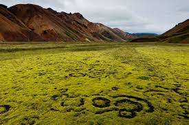 Résultat de recherche d'images pour "ISLANDE"