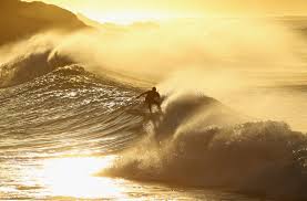 Résultat de recherche d'images pour "surfing, The New Yorker"