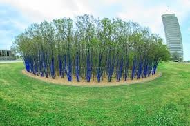 Résultat de recherche d'images pour "blue trees"