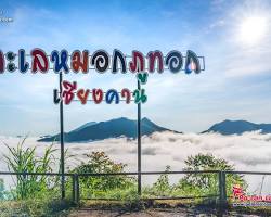 รูปภาพภูทอก จ.เลย