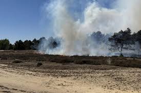 Brand Weert : ce qu'il faut savoir — image 3