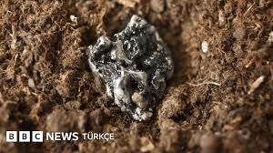 BBC - News update