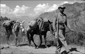 Image result for 1965 india pakistan war