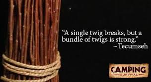 A single twig breaks quote from Tecumseh | Survival and Self defence via Relatably.com