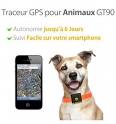 Top des meilleurs Collier GPS pour chien - GPS Zapp