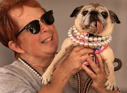 Local pug named ‘World’s Ugliest Dog’ at Sonoma County Fair contest
