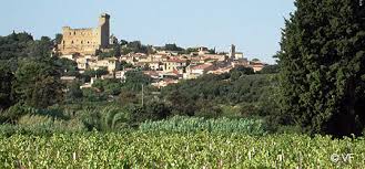 Image result for chateauneuf du pape