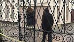 Malmesbury mosque attack: Hawks find