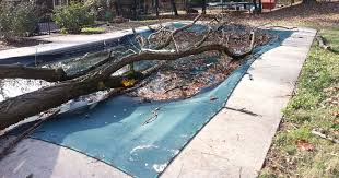 Image result for pool safety covers