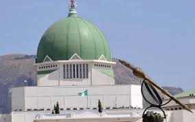 Image result wey dey for nass