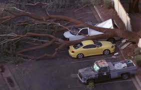 PHOTOS: Smashed cars, downed trees and torn-off roofs after Sunday monsoon storm in the Valley