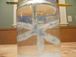Image result for grow your own salt crystals