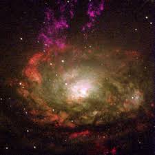 Image result for circinus galaxy