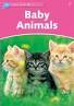 dolphin readers baby animals  ̹ ˻