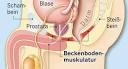 Probleme stuhlgang prostata