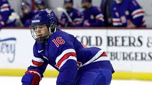Vegas Hockey Knight - News update