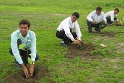 Image result for Tree plantation
