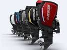 New evinrude 250