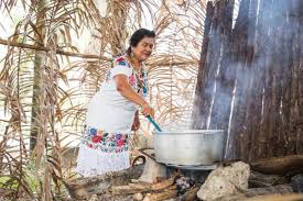 UNESCO - News update