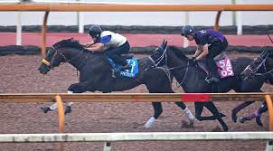 スポニチ競馬Web - News update