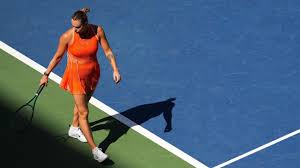 Serena and Venus Williams at the US Open