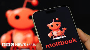 Moltbook, a nova rede social criada apenas para IA (e não para humanos) — e as dúvidas e preocupações que ela tem gerado