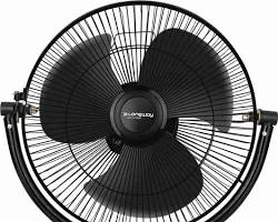 Изображение: Fan