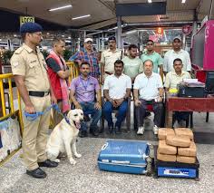 Man arrested at Howrah railway station with 22.64 kg ganja after RPF sniffer dog MARCO flagged his trolley bag; suspect booked under NDPS Act