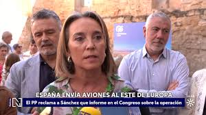 Canal Sur - News update