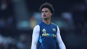 antonee robinson