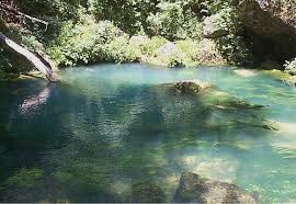 Image result for "Current River"