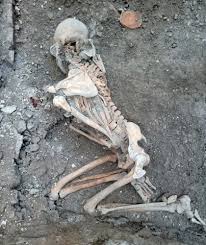Two new skeletons found at Pompeii excavations - eNCA
