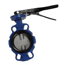 Premium Heavy-Duty Cast Iron Butterfly Valve with Flange ...