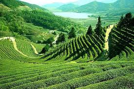 Image result for west bengal images