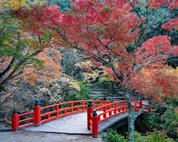 宮島の紅葉の画像