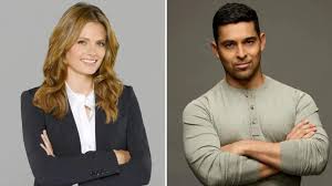 Wilmer Valderrama Clarifies Stana Katic Visit to NCIS Set