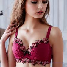 Image result for girls in bra