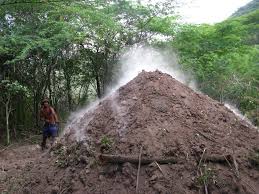 Resultado de imagen para deforestacion bahoruco