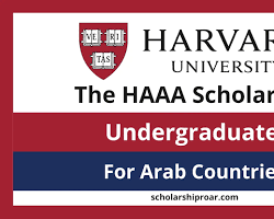 HAAA Scholarship logo