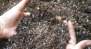 kalsiyum nitrat gübresi ile ilgili görsel sonucu