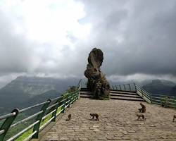 Image of Monkey Point Kasauli