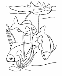 fish coloring pages ile ilgili görsel sonucu