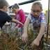 Third-graders become lobbyists in Westerville to protect butterfly ...