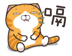 「白爛貓」的圖片搜尋結果