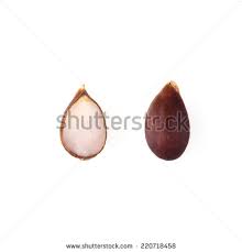 Image result for two apple pips